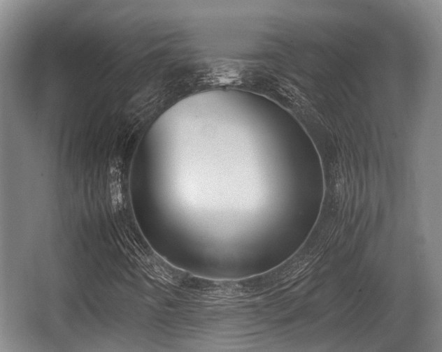 X0000062831442200601171407