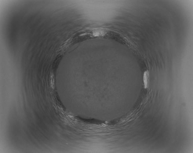 X0000062831443200601171407