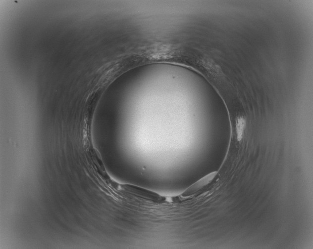 X0000062831444200601171407