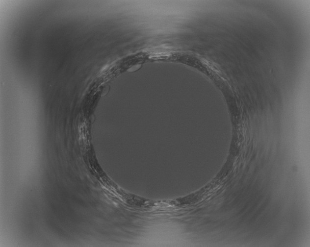 X0000062831445200601171407