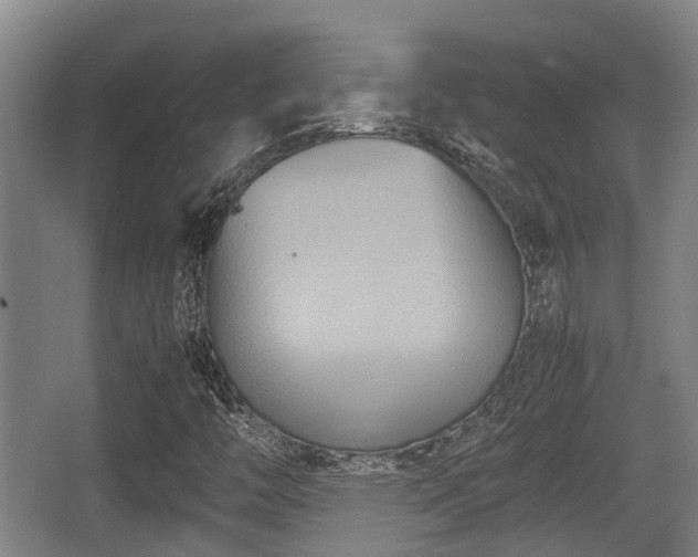 X0000062831446200601171407