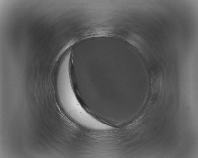 X0000062831450200601171407