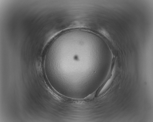 X0000062831452200601171407