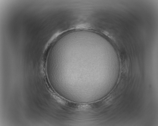 X0000062831454200601171407