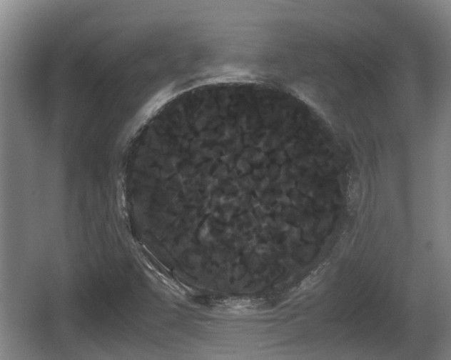 X0000062831455200601171407