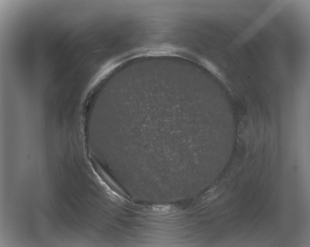 X0000062831456200601171407