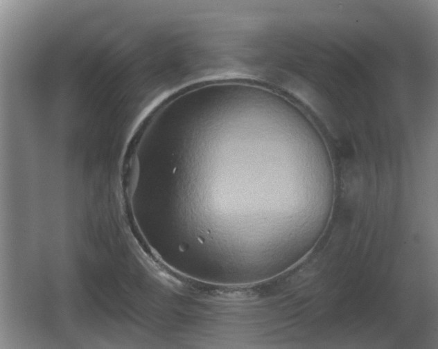 X0000062831460200601171407