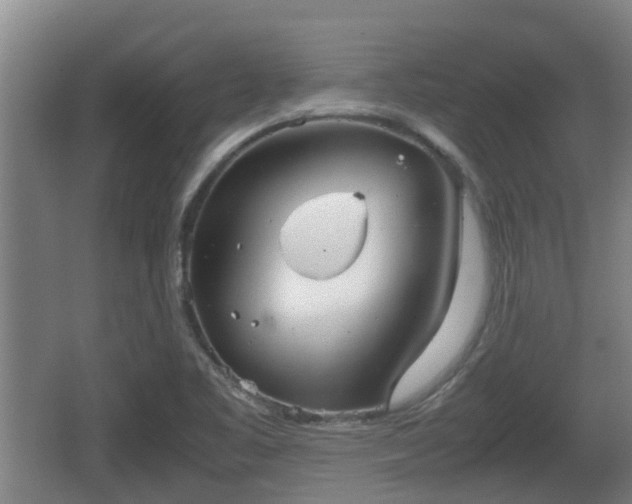 X0000062831461200601171407