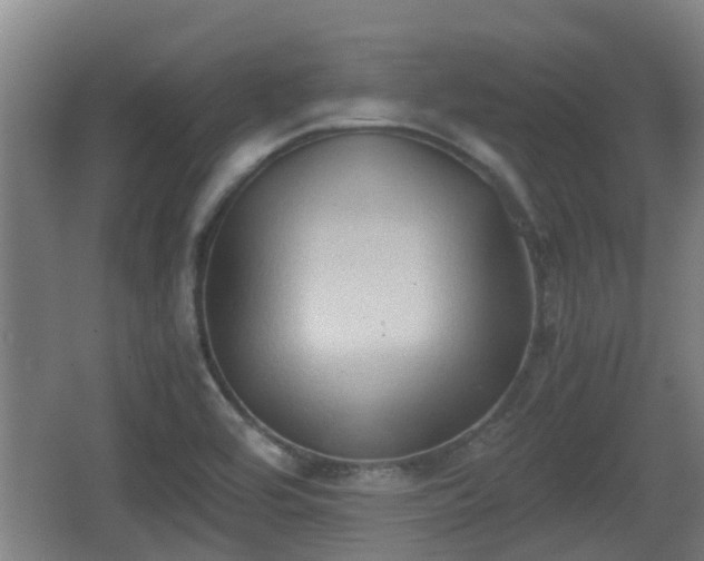 X0000062831464200601171407