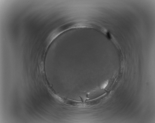 X0000062831465200601171407