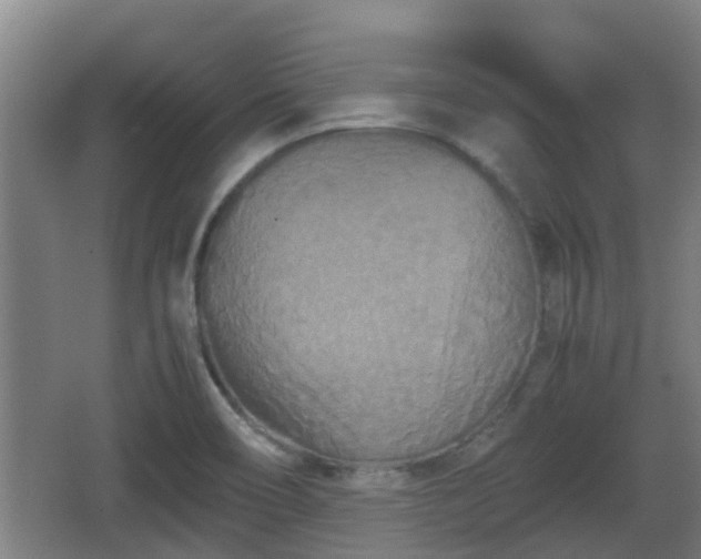 X0000062831466200601171407