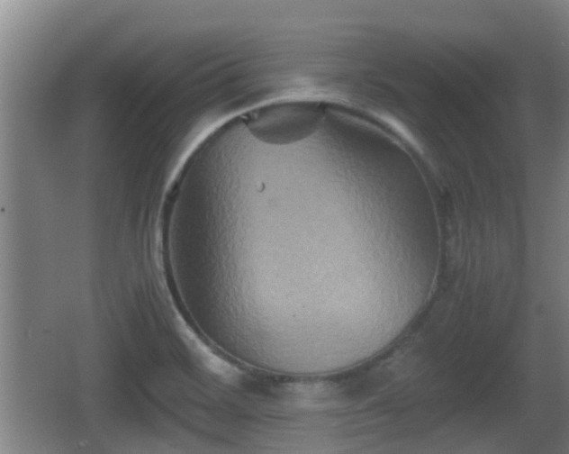 X0000062831468200601171407