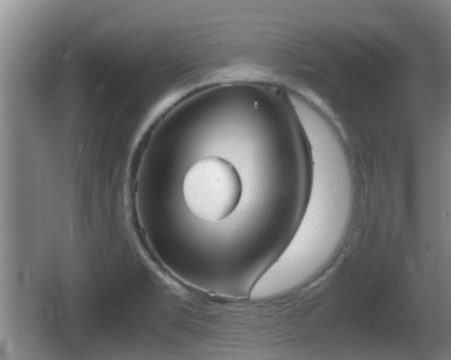 X0000062831469200601171407