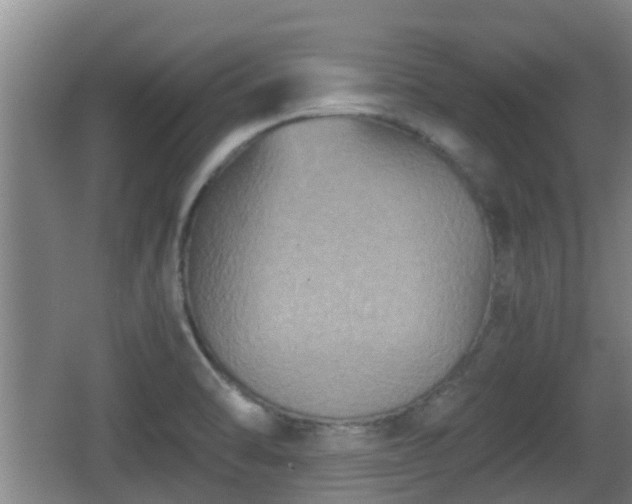 X0000062831470200601171407