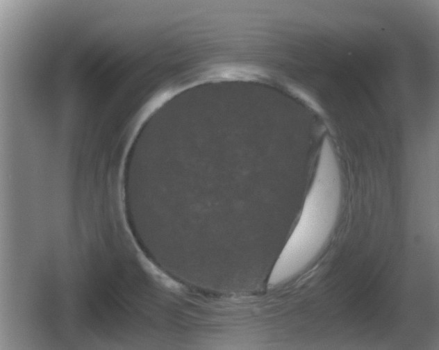 X0000062831471200601171407