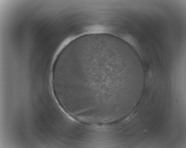 X0000062831472200601171407