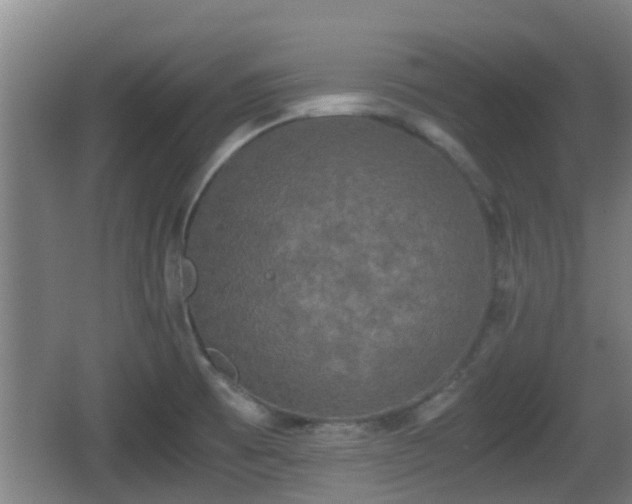 X0000062831473200601171407