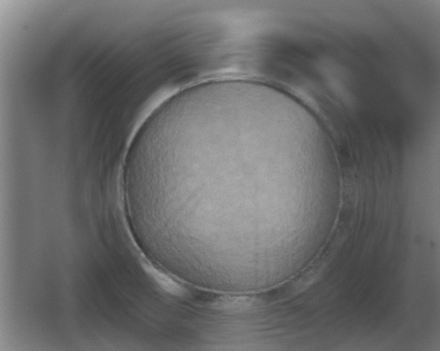 X0000062831474200601171407