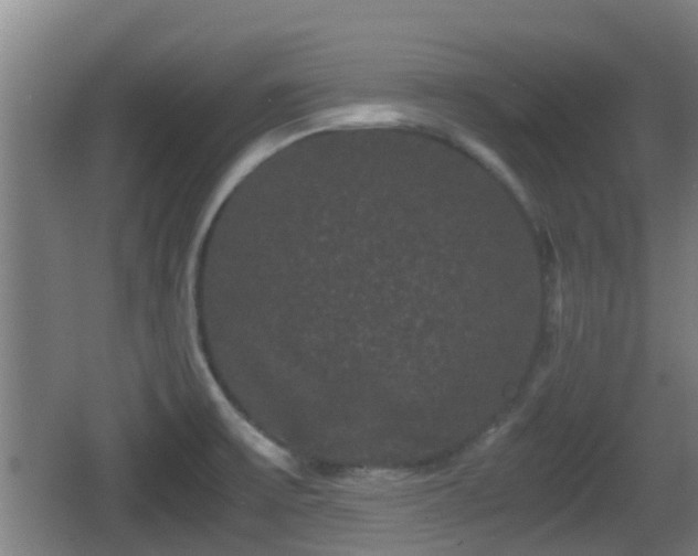 X0000062831475200601171406