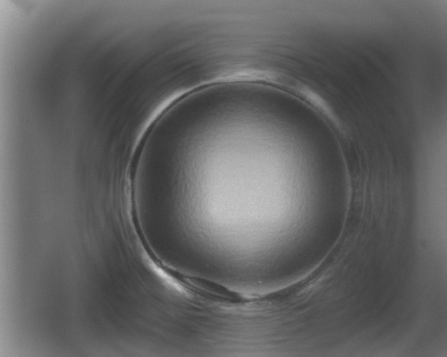 X0000062831476200601171406