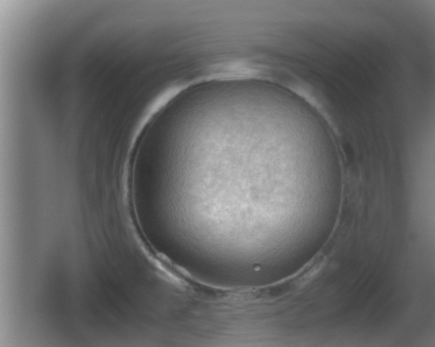 X0000062831477200601171406