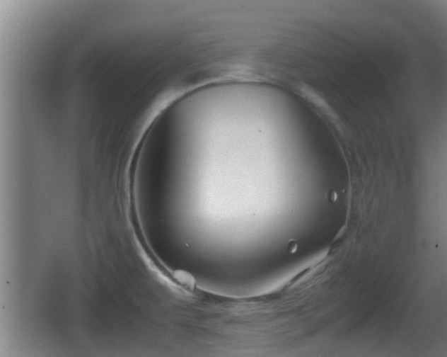 X0000062831479200601171406