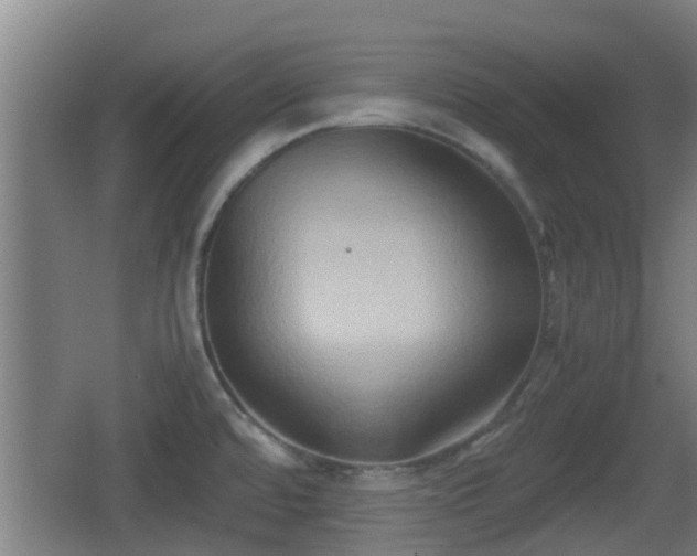 X0000062831480200601171406