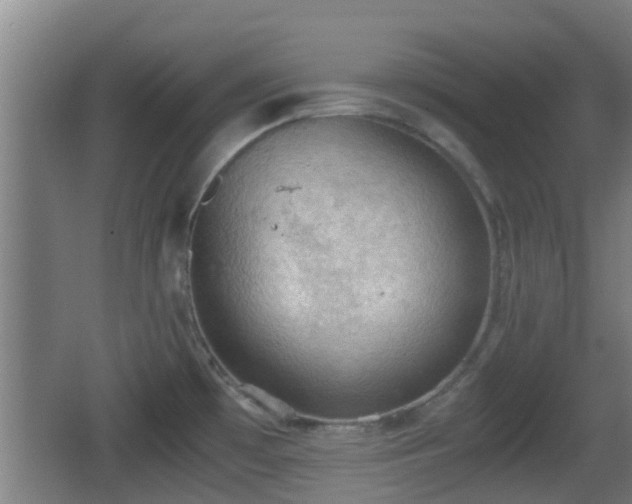 X0000062831481200601171406