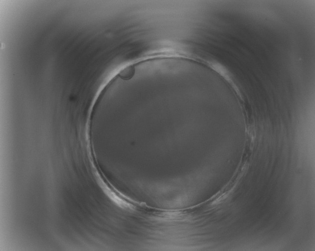 X0000062831482200601171406