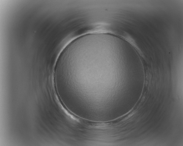 X0000062831484200601171406