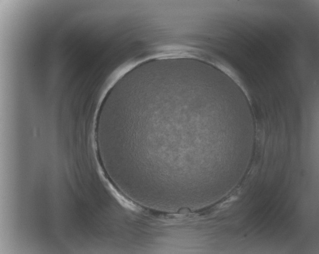 X0000062831485200601171406