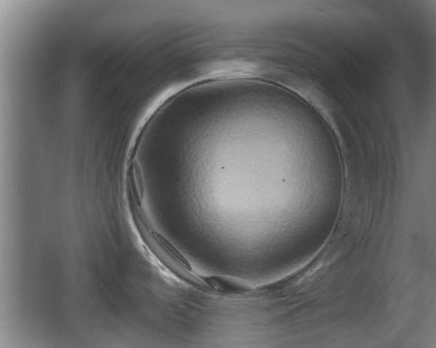 X0000062831488200601171406