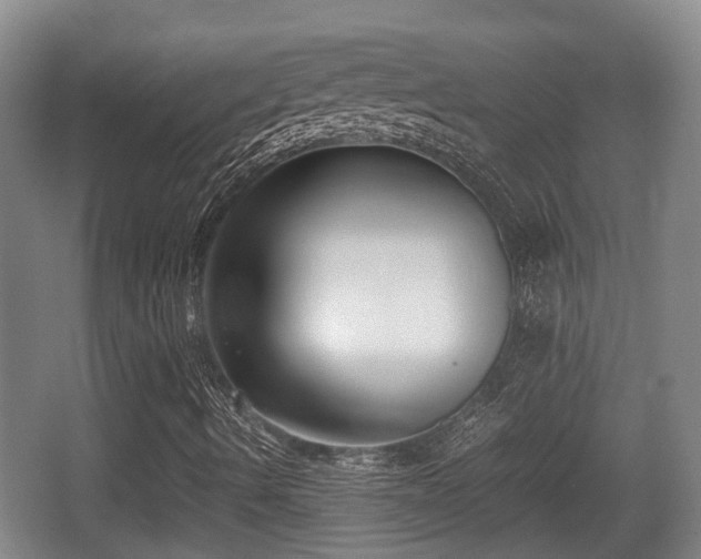 X0000062831490200601171405