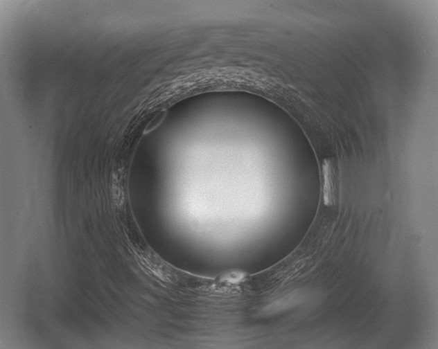 X0000062831491200601171406