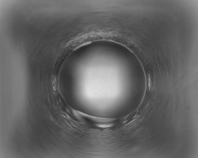 X0000062831492200601171406