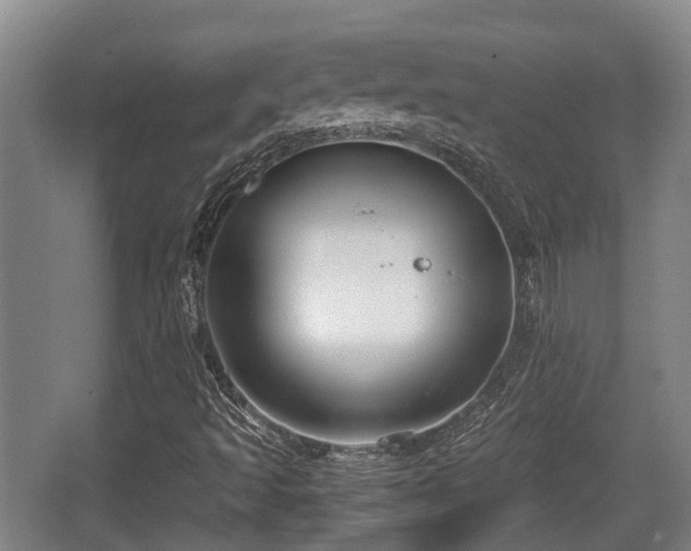 X0000062831493200601171406