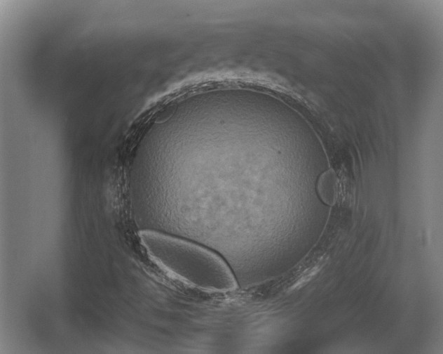 X0000062831494200601171406