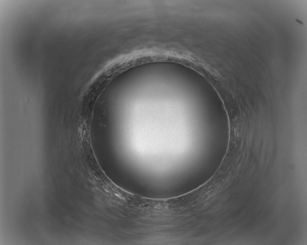 X0000062831495200601171406