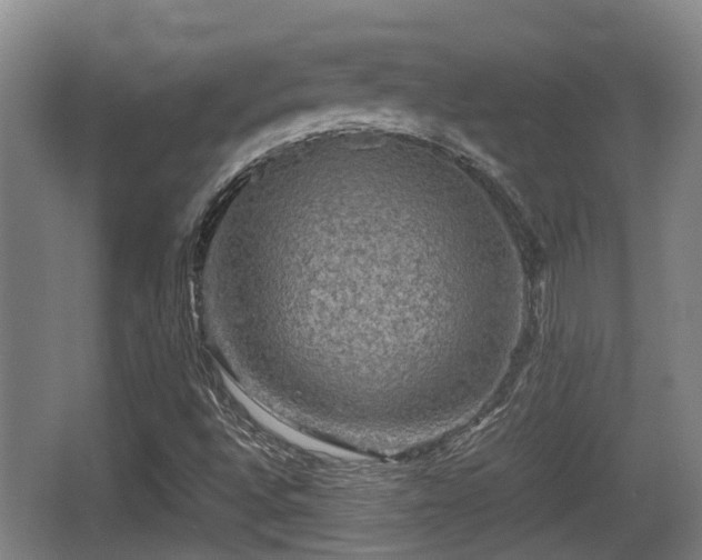 X0000062831496200601171406