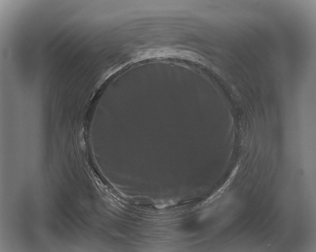 X0000062831497200601171406