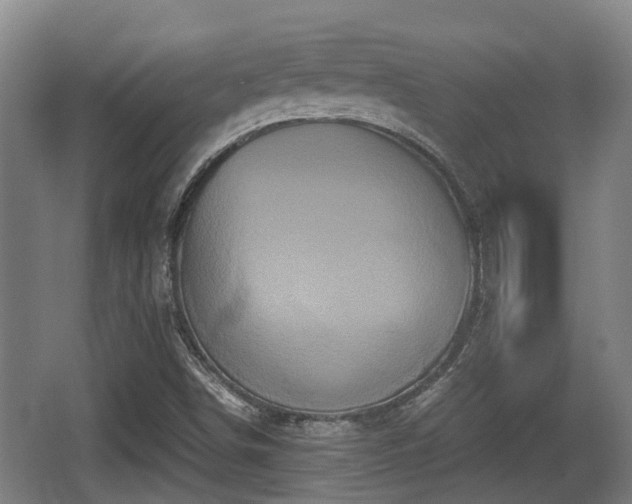 X0000062831498200601171406