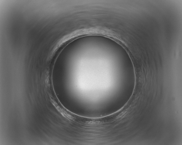 X0000062831499200601171406