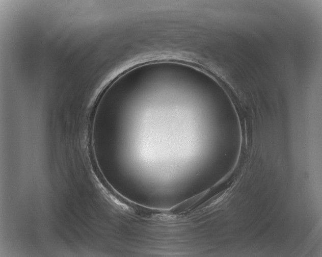 X0000062831500200601171406