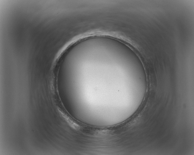 X0000062831502200601171406