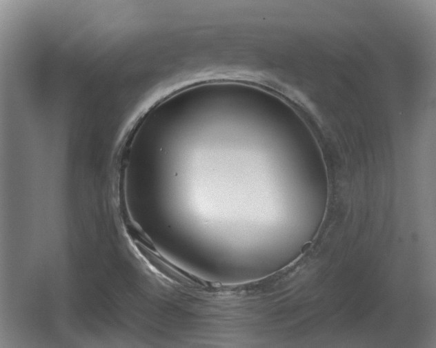 X0000062831504200601171406