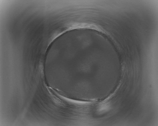 X0000062831505200601171406