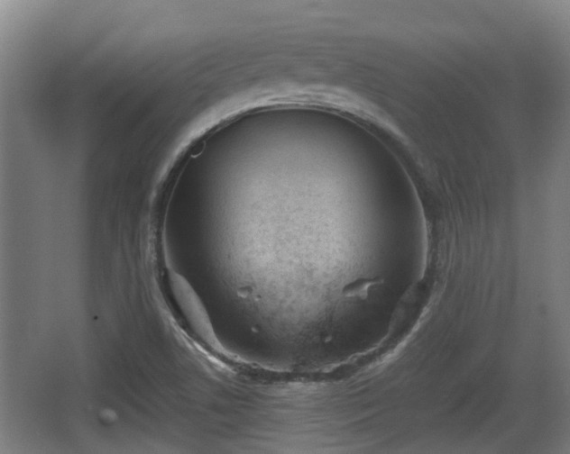 X0000062831506200601171406