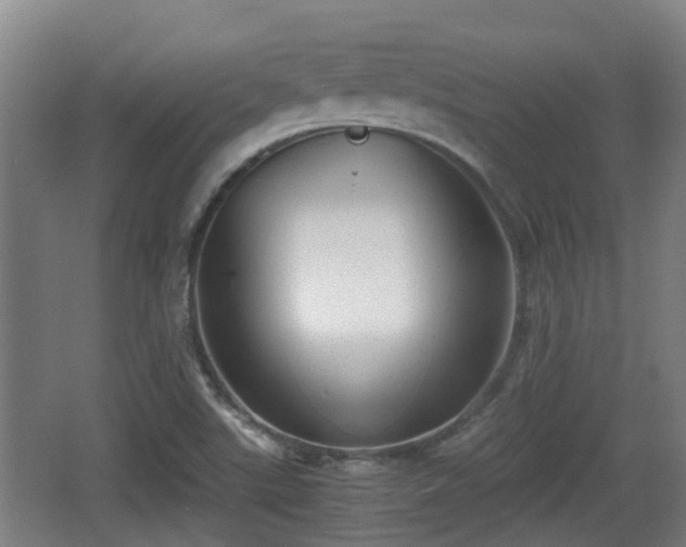 X0000062831507200601171406