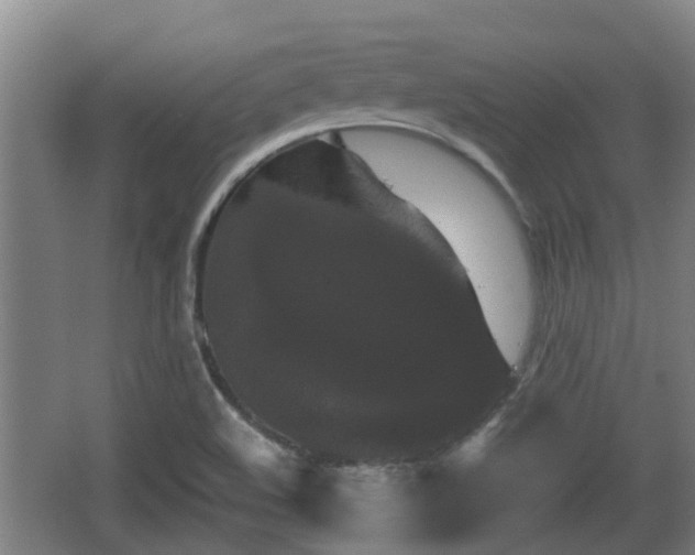 X0000062831508200601171406