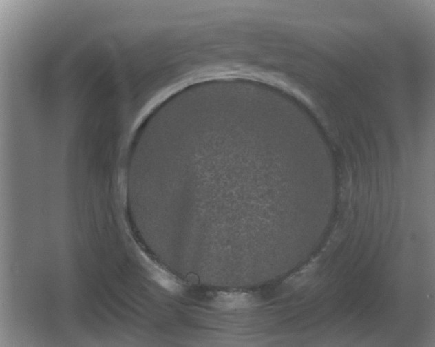 X0000062831509200601171406